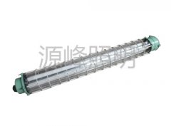 T8防爆灯